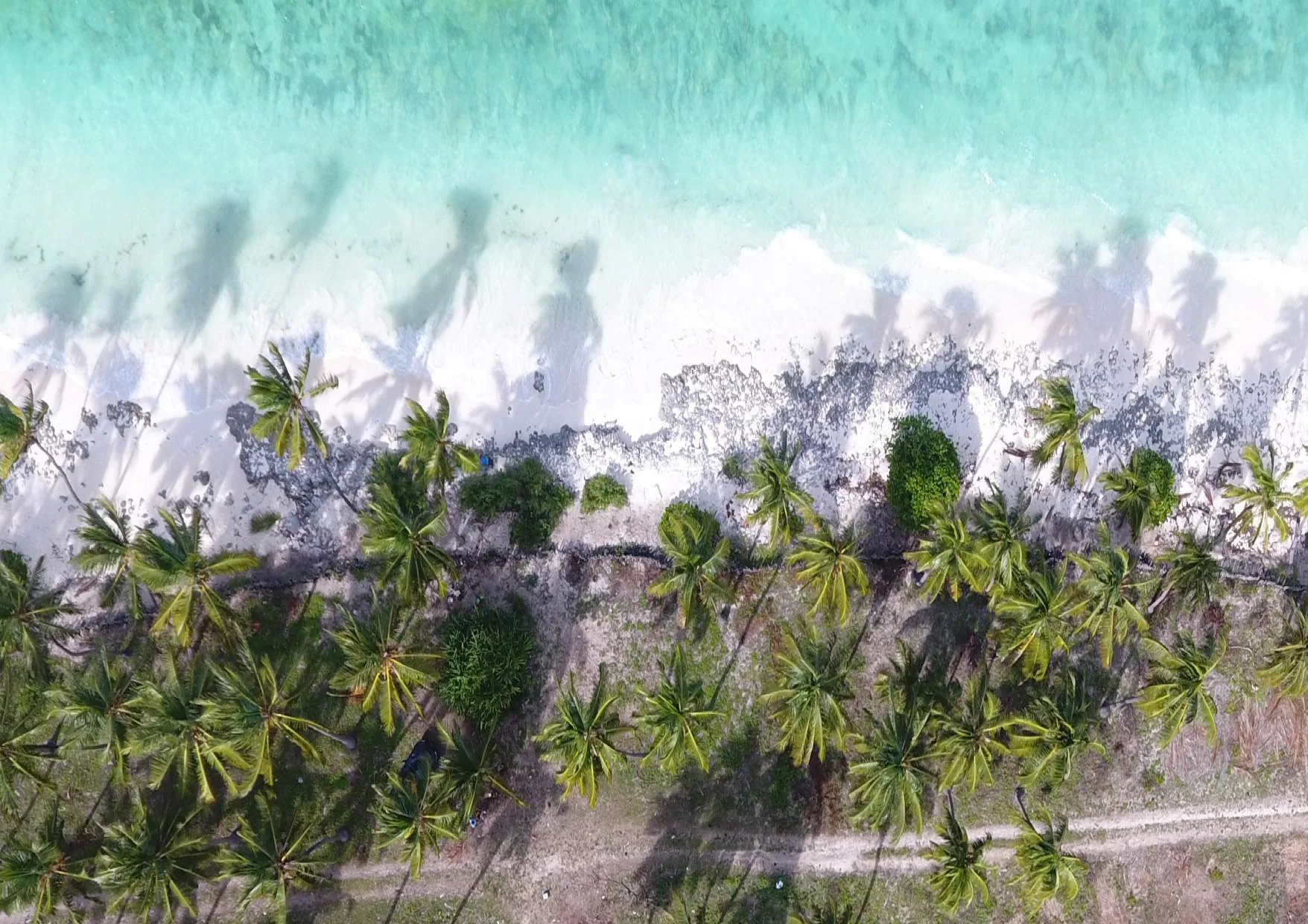 Aerial view of the Jambiani beachfront with palm trees and turquoise water