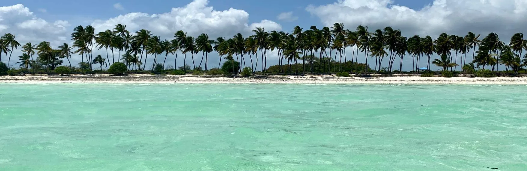 Palm-lined Jambiani beach