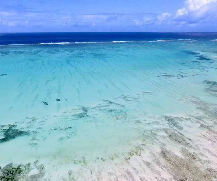 Turquoise lagoon in Jambiani