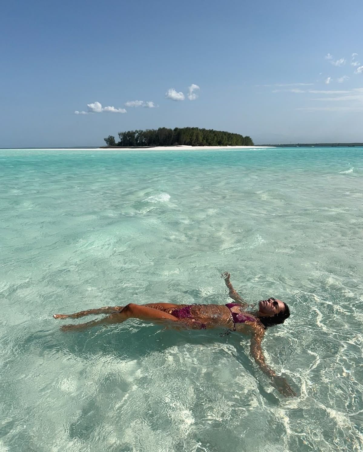 Mnemba Dolphins, Snorkelling, Sandbank & Sunset at Nanasi Beach Club, Nungwi