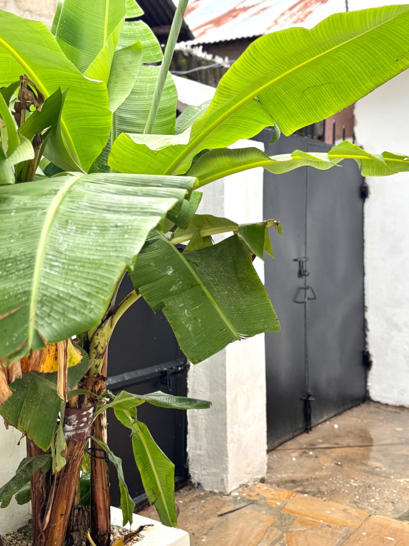 2 Apartaments Jambiani – photo 5