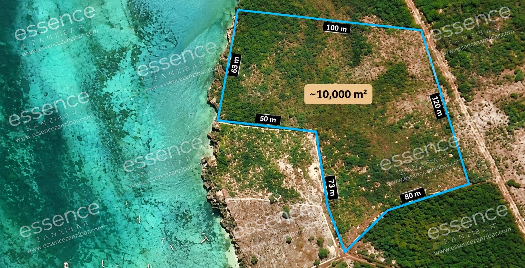 Beachfront Land for Sale in Kizimkazi – 10,000 m² – photo 1